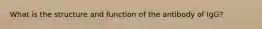 What is the structure and function of the antibody of IgG?