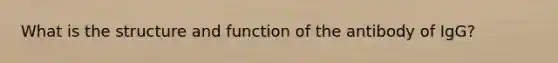 What is the structure and function of the antibody of IgG?