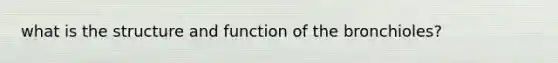 what is the structure and function of the bronchioles?