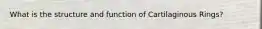 What is the structure and function of Cartilaginous Rings?