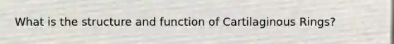 What is the structure and function of Cartilaginous Rings?
