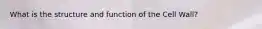 What is the structure and function of the Cell Wall?