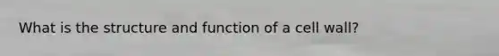 What is the structure and function of a cell wall?