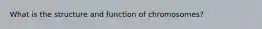 What is the structure and function of chromosomes?