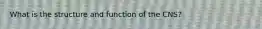What is the structure and function of the CNS?