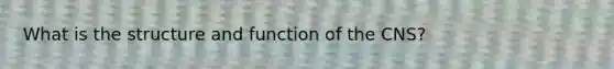 What is the structure and function of the CNS?