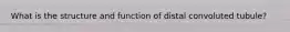 What is the structure and function of distal convoluted tubule?