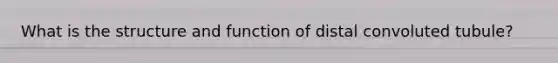 What is the structure and function of distal convoluted tubule?