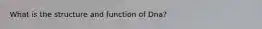 What is the structure and function of Dna?
