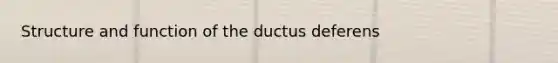 Structure and function of the ductus deferens