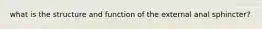 what is the structure and function of the external anal sphincter?