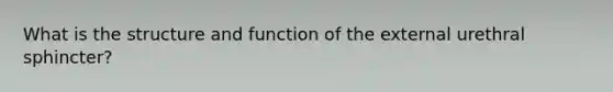 What is the structure and function of the external urethral sphincter?