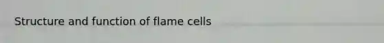 Structure and function of flame cells