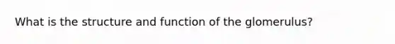 What is the structure and function of the glomerulus?