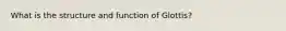 What is the structure and function of Glottis?