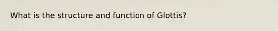 What is the structure and function of Glottis?