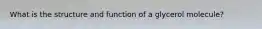 What is the structure and function of a glycerol molecule?
