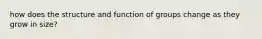 how does the structure and function of groups change as they grow in size?