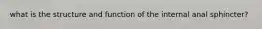 what is the structure and function of the internal anal sphincter?