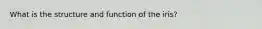 What is the structure and function of the iris?