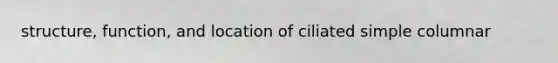 structure, function, and location of ciliated simple columnar