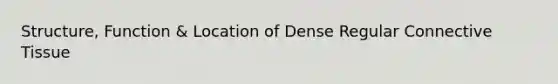 Structure, Function & Location of Dense Regular Connective Tissue