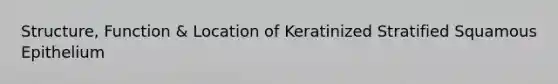 Structure, Function & Location of Keratinized Stratified Squamous Epithelium