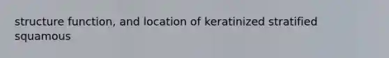 structure function, and location of keratinized stratified squamous