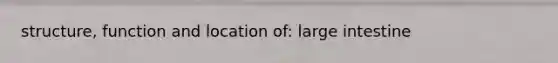structure, function and location of: large intestine