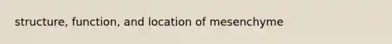 structure, function, and location of mesenchyme