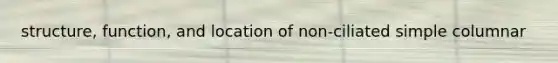 structure, function, and location of non-ciliated simple columnar