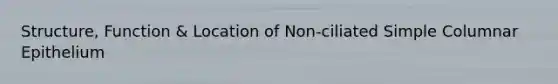 Structure, Function & Location of Non-ciliated Simple Columnar Epithelium