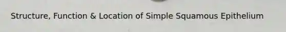 Structure, Function & Location of Simple Squamous Epithelium