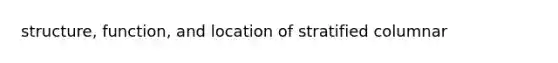 structure, function, and location of stratified columnar