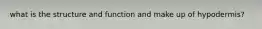 what is the structure and function and make up of hypodermis?