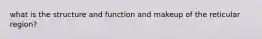 what is the structure and function and makeup of the reticular region?