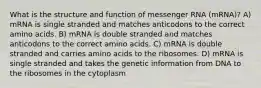 What is the structure and function of messenger RNA (mRNA)? A) mRNA is single stranded and matches anticodons to the correct amino acids. B) mRNA is double stranded and matches anticodons to the correct amino acids. C) mRNA is double stranded and carries amino acids to the ribosomes. D) mRNA is single stranded and takes the genetic information from DNA to the ribosomes in the cytoplasm