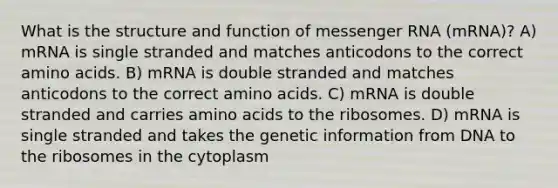 What is the structure and function of messenger RNA (mRNA)? A) mRNA is single stranded and matches anticodons to the correct amino acids. B) mRNA is double stranded and matches anticodons to the correct amino acids. C) mRNA is double stranded and carries amino acids to the ribosomes. D) mRNA is single stranded and takes the genetic information from DNA to the ribosomes in the cytoplasm