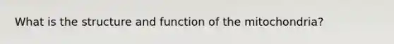 What is the structure and function of the mitochondria?