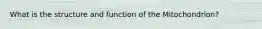 What is the structure and function of the Mitochondrion?