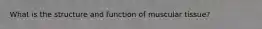 What is the structure and function of muscular tissue?