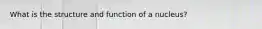 What is the structure and function of a nucleus?