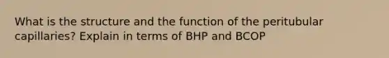 What is the structure and the function of the peritubular capillaries? Explain in terms of BHP and BCOP