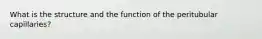 What is the structure and the function of the peritubular capillaries?