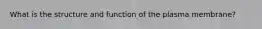 What is the structure and function of the plasma membrane?