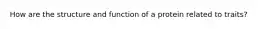 How are the structure and function of a protein related to traits?