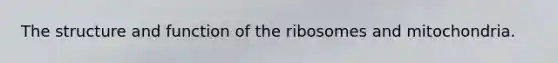 The structure and function of the ribosomes and mitochondria.