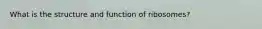 What is the structure and function of ribosomes?