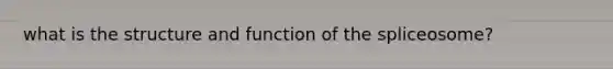 what is the structure and function of the spliceosome?