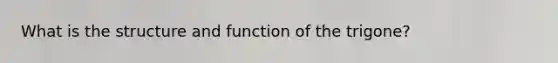 What is the structure and function of the trigone?